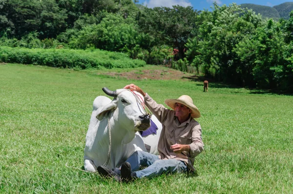 Farmer with cow