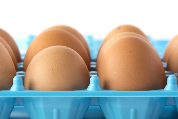 Brown hen\'s eggs in an opened box