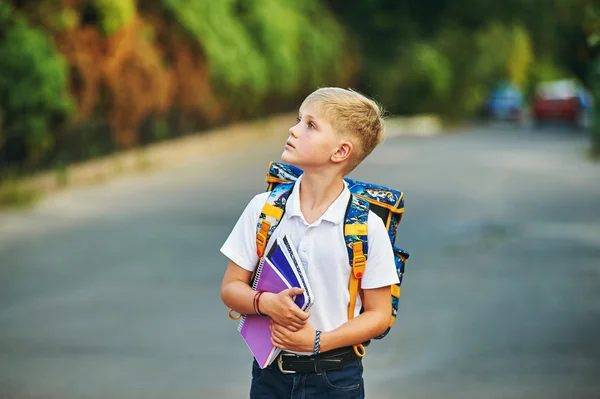 Elementary school student with books. Behind the boy\'s school backpack.