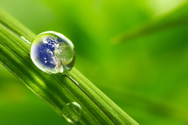 Leaf with rain droplets - Recovery earth concept