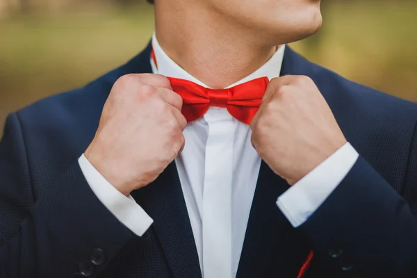 Close up of hands of man correcting red bowtie. Man wears blue s