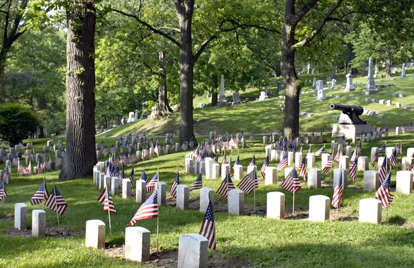 Civil War Cemetery with Flags