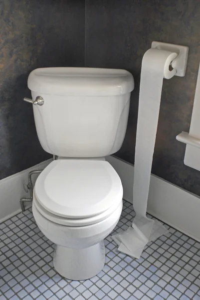 Toilet with Toilet Paper on Floor