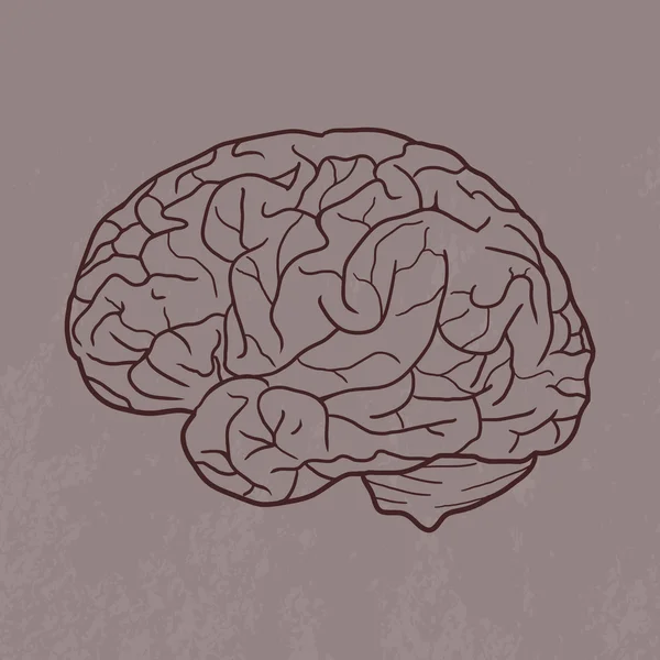 Grunge sketch of human brain
