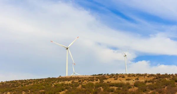 Renewable energy wind vane. natural resources for a green world.