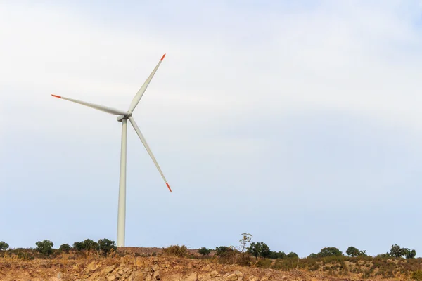 Renewable energy wind vane. natural resources for a green world.