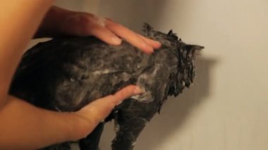 female condom nude teen models porn clip