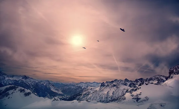 Birds migrating over steep mountains