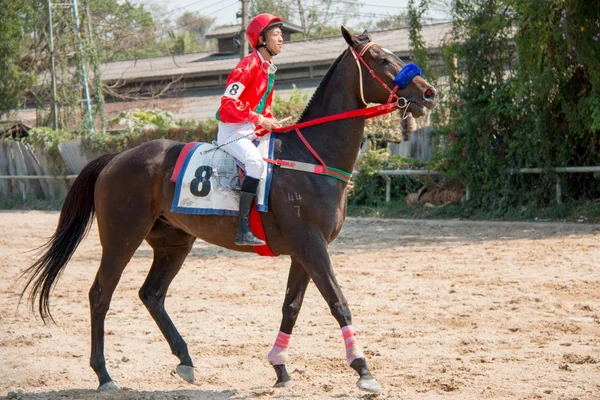 Horse racing in Thailand