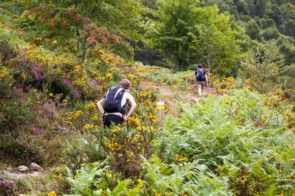 Man and woman walking on the vegetated mountains
