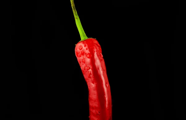 Ed pepper, pepper, peppers, chili, chili pepper,
