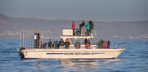 People on shark explore boat
