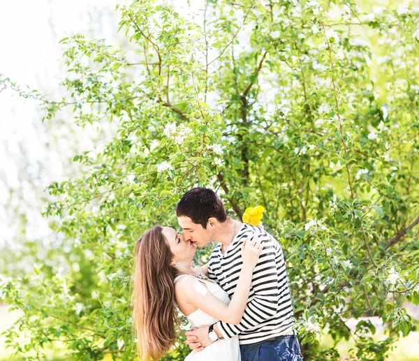 Loving couple under blossoming branches spring day. Young adult  brunette man and woman kissing in fresh blossom apple or cherry trees garden. sweet kiss