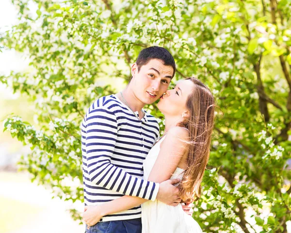 Loving couple under blossoming branches spring day. Young adult  brunette man and woman kissing in fresh blossom apple or cherry trees garden. sweet kiss