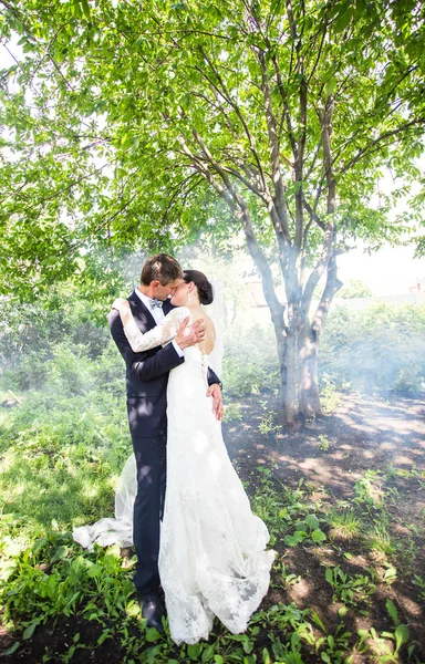 Wedding couple kissing against the backdrop of  a misty garden.