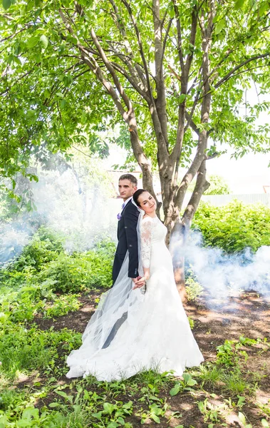 Wedding couple against the backdrop of  a misty garden.