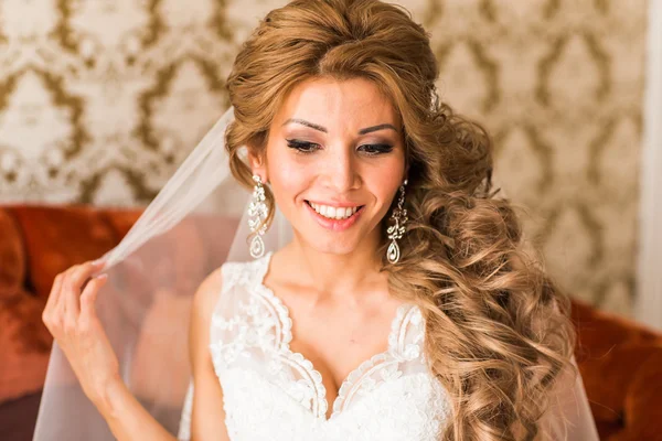 Beautiful Bride Portrait wedding makeup and hairstyle