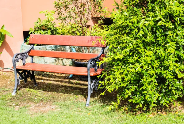 Wooden bench in garden.