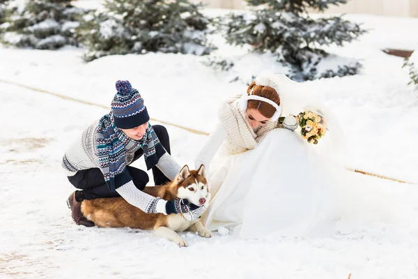 Wedding couple and a cute dog in winter time
