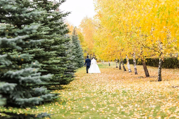 Autumn wedding in the park, bride and groom