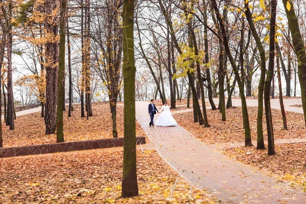 Autumn wedding in the park, bride and groom