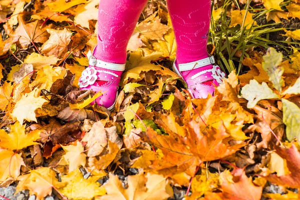 Close-up of baby feet in shoes on autumn leaves