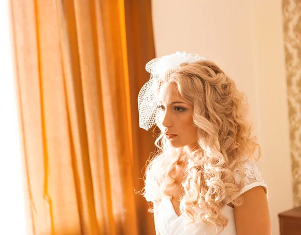 Portrait of beautiful young woman. Make up and hair style. Wedding bride make up.