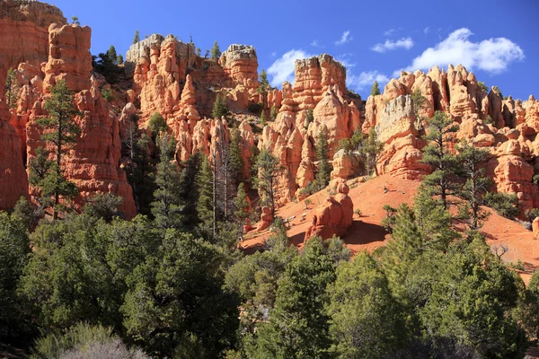 Beautiful rock formations at Bryce Canyon