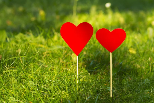 Hearts in the grass, valentine, declaration of love