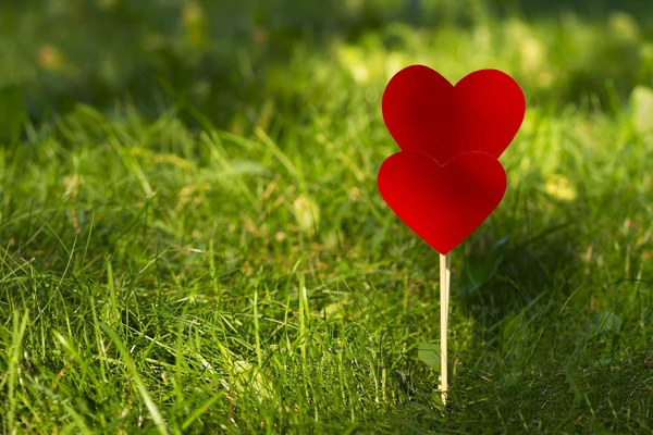 Hearts in the grass, valentine, declaration of love