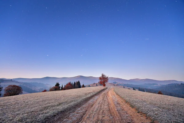 November cold frosty dawn in Carpathian mountains. Morning stars