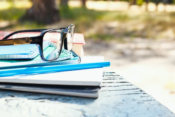 Stack notebook and glasses on bench in a park