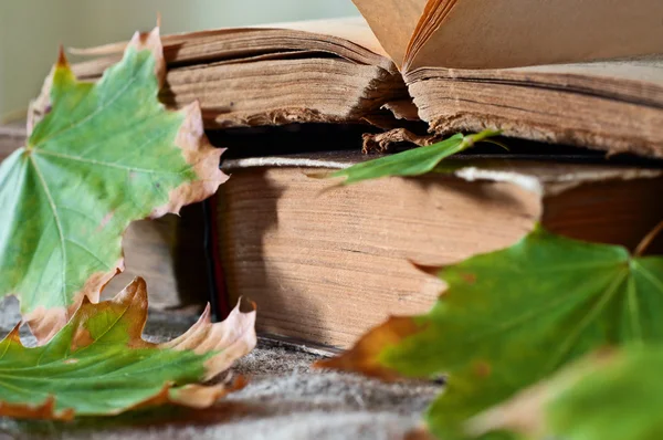 Stack of vintage books in autumn maple leaves close up