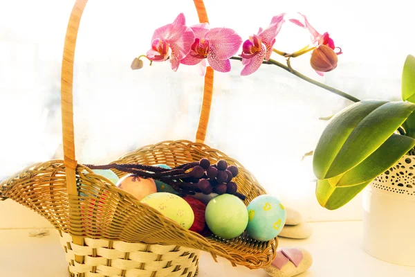 Easter eggs in a basket,  flowering Orchid