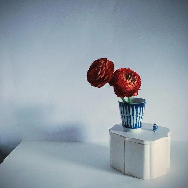 Red flowers in vase on white table