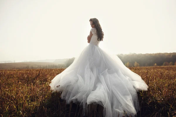 Beautiful brunette bride in white dress