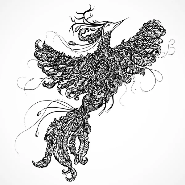 涂鸦的天堂鸟ith鹿角。手绘制的轮廓读经插图计算机装饰典童话教学设计图片