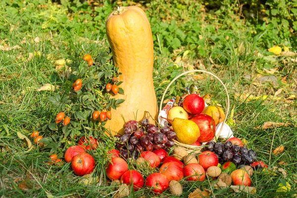 Autumn still life of fruit and vegetables