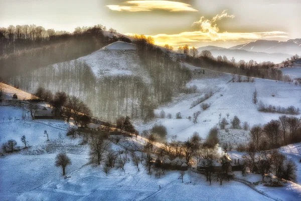 Frozen sunny day of a winter, on wild transylvania hills. Holbav. Romania. Low key, dark background, spot lighting, and rich Old Masters