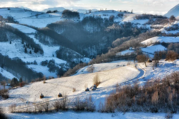 Frozen sunny day of a winter, on wild transylvania hills. Holbav. Romania. Low key, dark background, spot lighting, and rich Old Masters