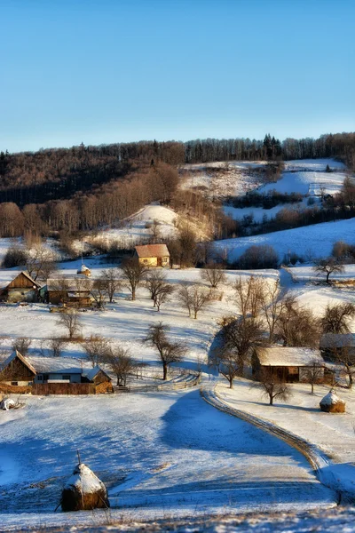 Frozen sunny day of a winter, on wild transylvania hills. Holbav. Romania. Low key, dark background, spot lighting, and rich Old Masters