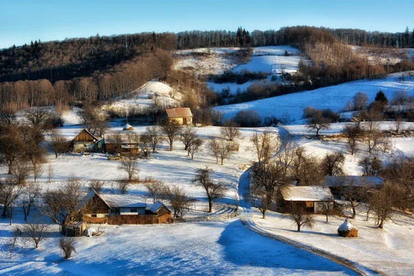 Frozen sunny day of a winter, on wild transylvania hills. Holbav. Romania. Low key, dark background, spot lighting, and rich Old Masters