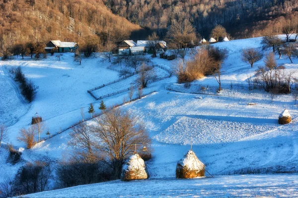 Frozen sunny day of a winter, on wild transylvania hills. Holbav. Romania. Low key, dark background, spot lighting, and rich Old Masters