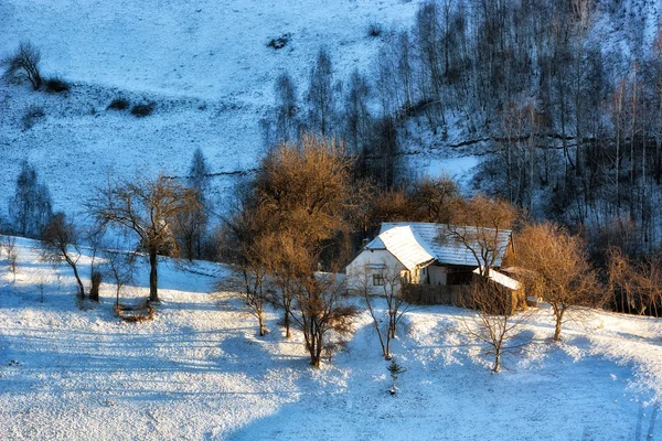 Frozen sunny day of a winter, on wild transylvania hills. Holbav. Romania. Low key, dark background, spot lighting, and rich Old Masters