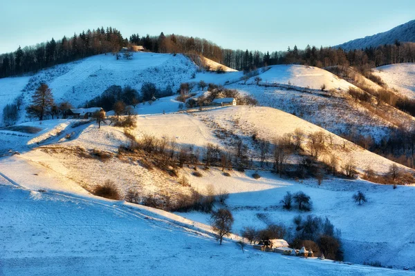 Frozen sunny day of a winter, on wild transylvania hills. Holbav. Romania. Low key, dark background, spot lighting, and rich Old Masters