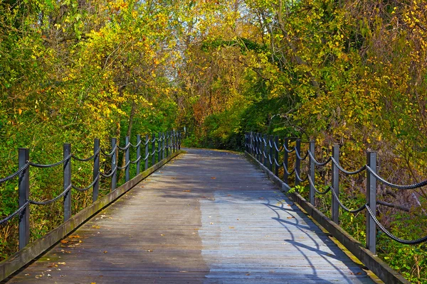 Pathway in the early autumn in Arlington, Virginia.