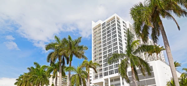 Boulevard in Miami Beach, Florida, USA with tall palms and white buildings.