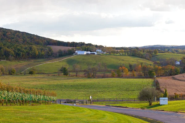 Virginia state country side at sunset.