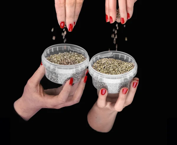 Four hands with hemp seeds in plastic containers