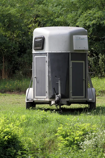 Horse trailer at courtyard. Transportation for horses by trailer